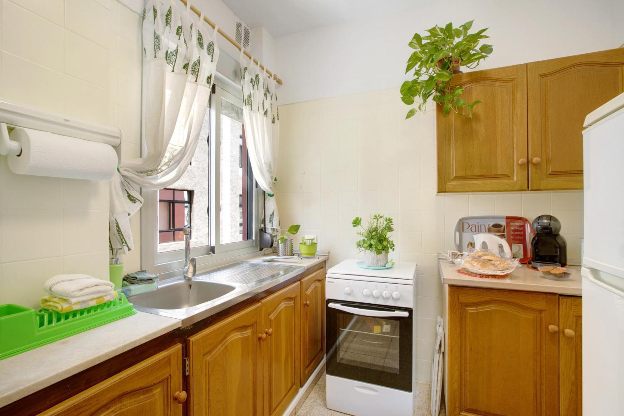 Apartment Cruz Centro